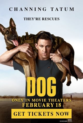 Dog (2022) เพื่อนกันพันธุ์ห้าว