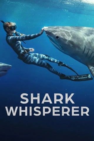 Shark Whisperer (2025) คนรักษ์ฉลาม - ดูหนังออนไลน์ฟรี HD
