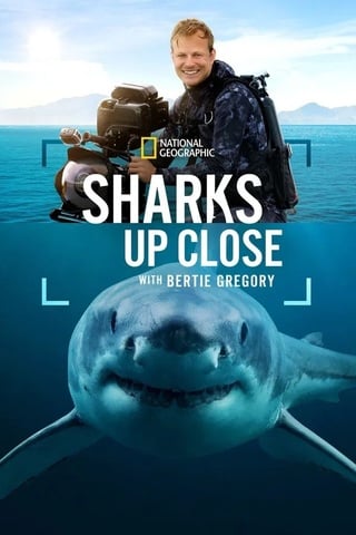 Sharks Up Close with Bertie Gregory (2025) - ดูหนังออนไลน์ฟรี HD