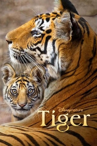 Tiger (2024) - ดูหนังออนไลน์ฟรี HD