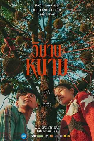 วิมานหนาม (2024) The Paradise of Thorns - ดูหนังออนไลน์ฟรี HD
